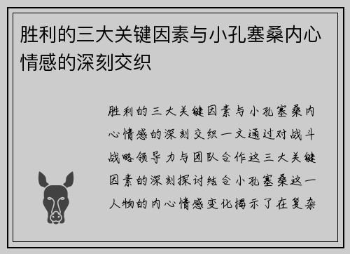 胜利的三大关键因素与小孔塞桑内心情感的深刻交织
