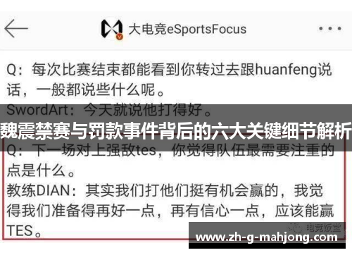 魏震禁赛与罚款事件背后的六大关键细节解析