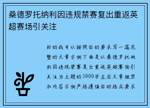 桑德罗托纳利因违规禁赛复出重返英超赛场引关注
